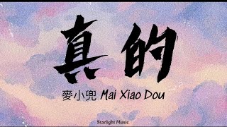 麥小兜 Mai Xiao Dou – 真的 Zhen De Pinyin Lyrics And English Translation