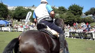 Fiesta del Asturcón 2016 - GUIASTUR