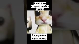 #memes #memes #мем #meme #cat данчин