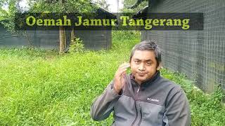 Perubahan channel Menjadi Oemah Jamur Tangerang