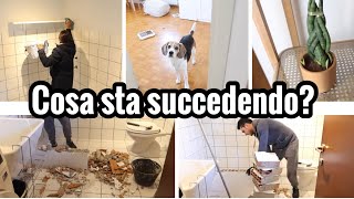 *NEW* ABBIAMO INIZIATO I LAVORI / MI SONO SPAVENTATA 😱 / Elenatwinklehome