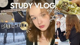 study VLOG // одноклассники, учёба, завтрак, последняя неделя в четверти, дежурный класс, снег