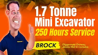 1.7T Mini Excavator 250-Hour Service | Easy & Quick Maintenance Guide