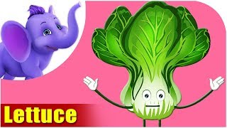 Lettuce - Vegetable Rhymes in Marathi