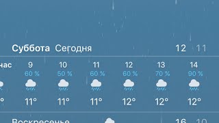 У ПРИРОДЫ НЕТ ПЛОХОЙ ПОГОДЫ ⛈⛈⛈😲 ОБЗОР МОИХ 🍅 В СЛОЖНЫХ КЛИМАТИЧЕСКИХ УСЛОВИЯХ