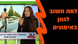 60 שניות על גיוון באימונים