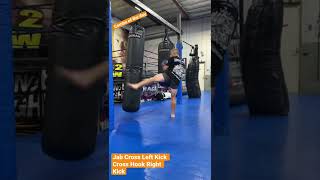 Heavy bag Combo Jab Cross Switch Kick Cross Hook Right Kick