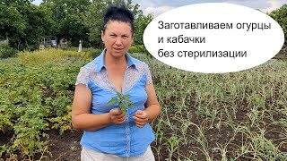 Заготавливаем огурцы и кабачки без стерилизации