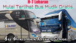 H-7 Lebaran, Semua Bus Wonosoboan Berangkat Dan Mulai Muncul Bus Mudik Gratis‼️