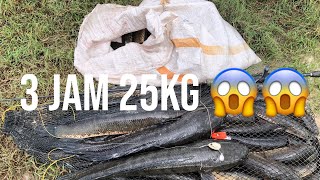 Casting Haruan Gabus 3 Jam 25KG‼️harap tahun nie mcam tahun lepas...video TB