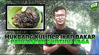 Mukbang Ikan Bakar Pangasean Gunting Saga