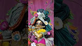 Daily Wonderful Radha Madhava Darshan #isckon #wonderful #radhakrishna #darshan #Radha_Madhav