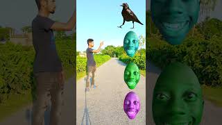 tractor wheel to parrot pingen crow peacock 🦚 #shortsfeed_ vfx #funny #shorts #viral #viralvideos