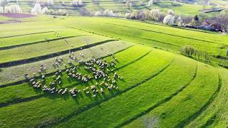 Izbuc și Călugări, Cariera de calcar de la Cărpinet, Mănăstirea Izbuc, Bihor, România, Drone video