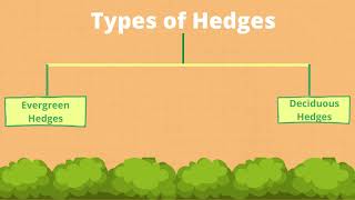 Varieties Of Hedges | InstantHedge