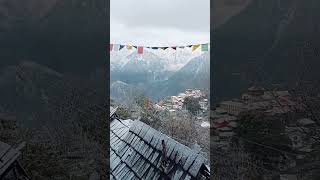 snowfall at kalpa#himachalpradesh #spiti #kalpa #roadtrip #mahendrathar