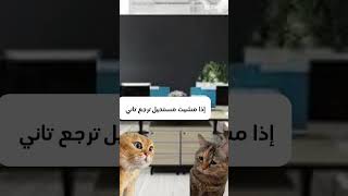 ده حالي اليومين دول في الشغل 😂😂 اضحك من قلبك 😂😂#كوميديا #اضحك #cat #cats #catlover #فرفوشه #فرفشه