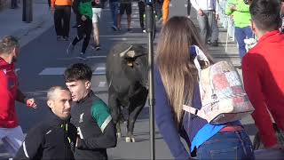 Encierro 6 de Septiembre - San Antolín 2024 Medina del Campo