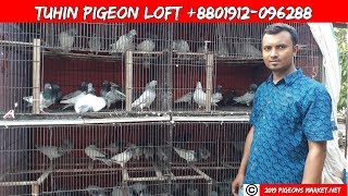 TUHIN PIGEON LOFT | pigeon videos | pigeon market in Dhaka | Pigeon Market In Bangladesh | pigeons