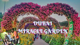 Dubai Miracle Garden | Worlds Largest Natural Flower Garden | Guinness Record | Cinematic | 4K | UAE