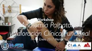 anatomia palpatoria merida enero