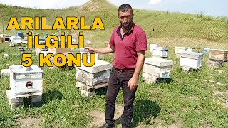 Arılarımız için şerbetin önemi Ve ana arı yumurta neden keser detaylı anlatım ne fayda