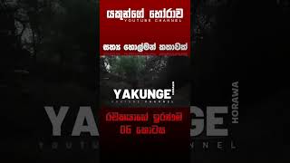 රචකයාගේ ඉරණම 06  | sinhala holman katha #සිංහල #holman #හොල්මන් #horror #horrorfan #horrormovie