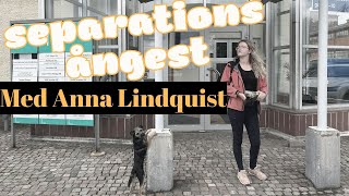 Deep talk med Anna Lindquist om doodles, bullys, hundyrket och separationsångest