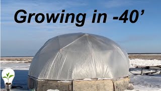 Greenhouse Geodesic Dome Growing in  -40'