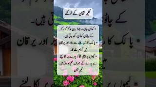 Best Urdu totkay of Hakeem luqman 😱😱/#shorts #hakeemluqman