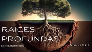 Agosto 4// Raices Profundas//Pastor Ignacio Rodriguez