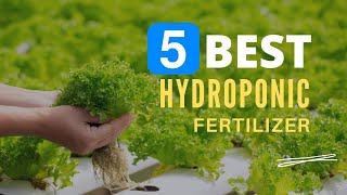 ⭕ Top 5 Best Hydroponic Fertilizer 2023 [Review and Guide]