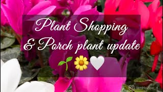 PLANT SHOPPING & PORCH PLANT UPDATE | Fredmyer G. Center | Hellebores | Cyclamen | Primrose 🌼🤍🌱