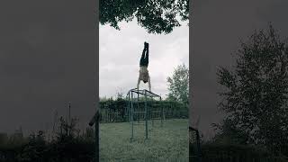 Handstandwalking on two bars second try 1.65 meters #calisthenics #turnen