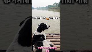 এক জেলা থেকে অন্য জেলা 🐕পারাপার 🚣 #shorts #short #minivlog #crossing #river #dog #boat #trending