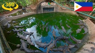 Zoobic Safari Crocodile Feeding VR Experience - 360 Video