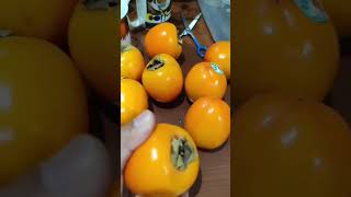 PERSIMMON FRUIT LOOKS LIKE TOMATO #shorts