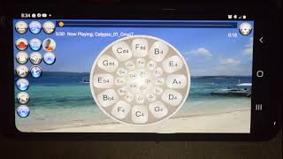 Steel Drums (Free/Pro) Virtual Musical Instrument Android App Demo