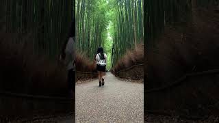 Storm mountain in Kyoto, Japan 🇯🇵 | The bamboo forest of Arashiyama🎋