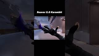 reaver 2.0 karambit leakssss