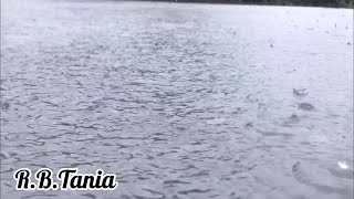 Rooftop Rain Drop Sound for Relaxing Meditation