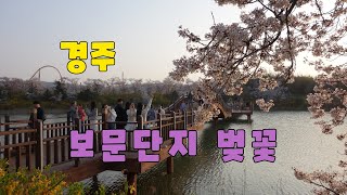 #2023 03 31 경주 보문단지 벚꽃 동영상   # 밤이 되어 조명을 비춘 벚꽃들은 호수와 함께  대단히 잘 어울렸습니다    - 조용한 여행 -