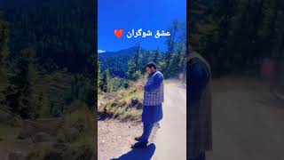 Shoogran, A tale of love. شوگران، محبت کا استعارہ۔۔ # Shoogran #pti #eid #tourism #viralshorts