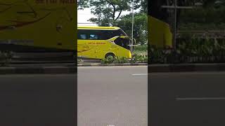 Bus Setia Negara || mosak masik jalanan #busmania #busindonesia #shorts #mosakmasik