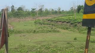 Official work at NJP ( West Bengal ) #TeaGarden               #westBengalteagarden