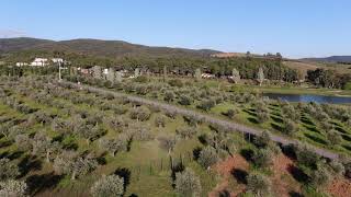 Azienda agricola con villa da realizzare al limitare del golf club