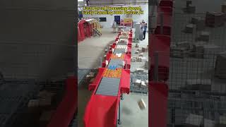 DWS  system #conveyor #logistics #sorting #telescopic #roller #dws