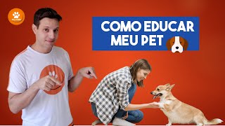 Como educar meu Pet