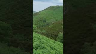 it's like jurassic Park #uk #hiddengems #waterfall #countryside #adventure #walking #hiking #travel