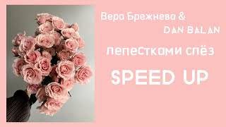 Вера Брежнева & Dan Balan-Лепестками слёз (speed up)